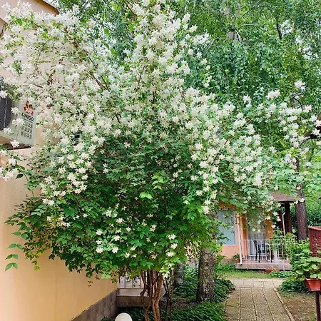 Feriehus Village Interpark Kranevo