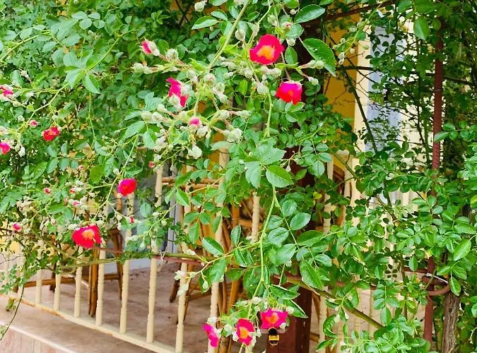 Village Interpark * Kranevo