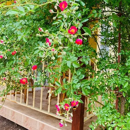 Village Interpark * Kranevo